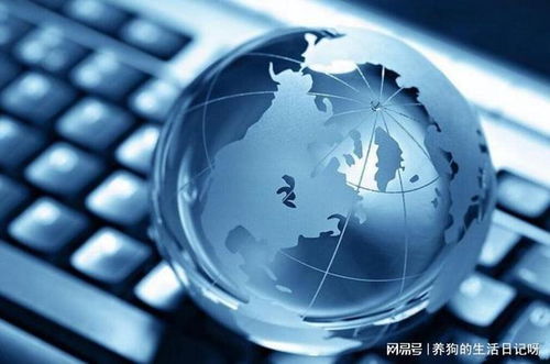 網(wǎng)絡(luò)文化經(jīng)營(yíng)新路徑 湖南助企文化傳媒解析企業(yè)為何必須開(kāi)展網(wǎng)絡(luò)營(yíng)銷